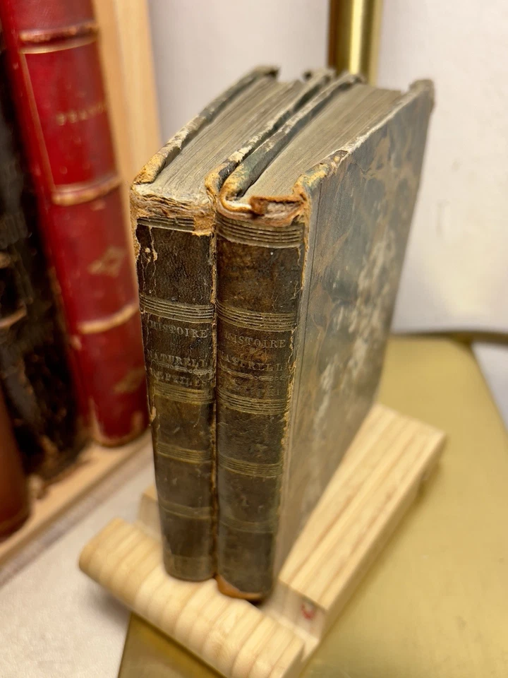Histoire Naturelle Botanik Biologie Zoologie 1810 Kupferstich Antik Bücher Paris - Bild 2 von 4