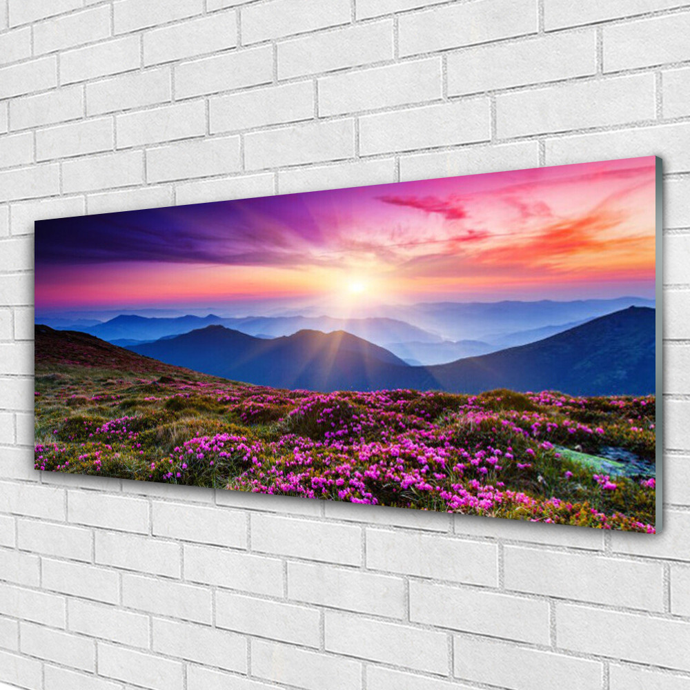Tableau en verre acrylique 125x50 cm paysage de montagnes et fleurs sauvages pour salon