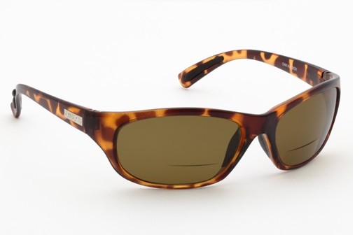 ono reader sunglasses