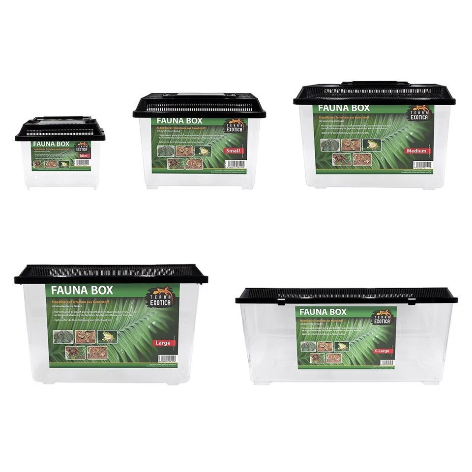 Terra Exotica Fauna Box - Zucht Box - Transportbox für Reptilien - Faunarium