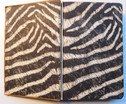 Sunshine & Storm in Rhodesia by Frederick Selous, First Edition, 1896, Rare! - Picture 8 of 10