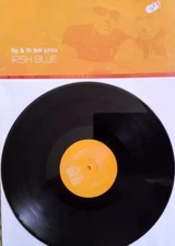 Flip & Fill Feat Junior – Irish Blue 2004 Trance 12" vinyl record in pic sleeve