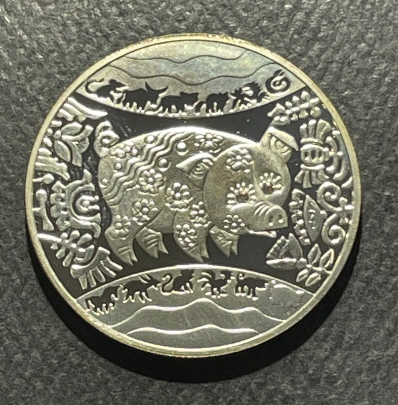 Ukraine 2007 5 Hryven Silver Coin: Year of the Pig-9606667