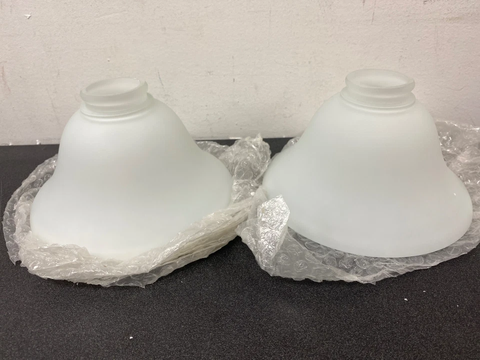 Seagull Sussex 10-1/4 дюйма 2-ламповый кронштейн матовый никель - 100 Вт - Изображение 4 из 4