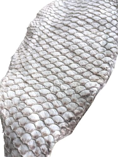 Tanned Tilapia Fish Skin Undyed Hide  Leather Supple Craft Supply Matte Natural  - Picture 1 of 5