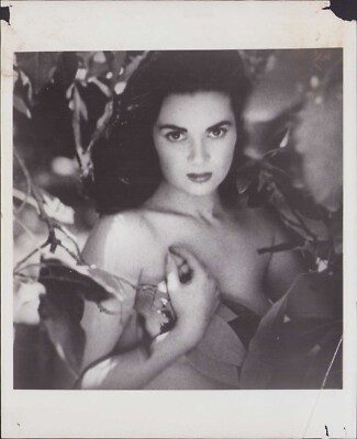 Vintage 8x10 Sexy Unknown Model or Actress Pinup Cheesecake