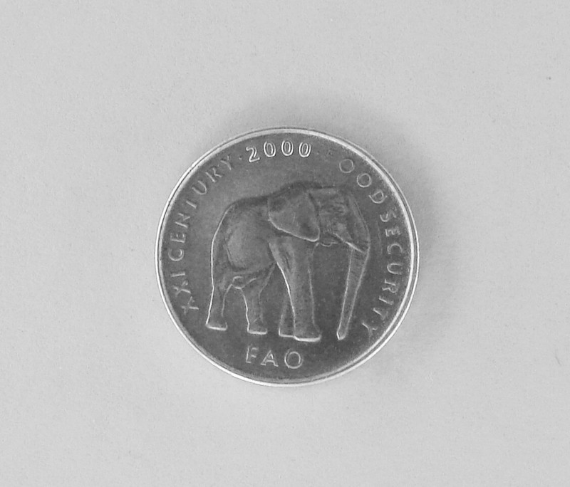 SOMALIA 5 SHILLINGS COIN / SCELLINI 2000 Walking Elephant / Coat Of Arms Rare