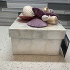 Shimmering Sea Shell Trinket or Jewelry Box With Decorative Shell Top — photo 5