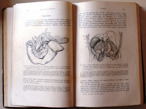 Quain J. - Trattato completo di anatomia umana - Collana Morgagni - 1800 - Foto 4 di 4