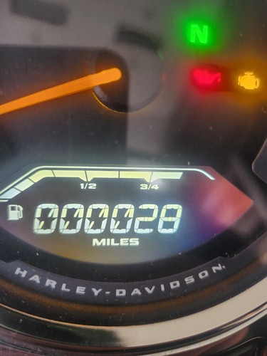 2023 Harley-Davidson Softail