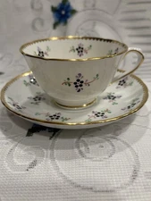 Plant Tuscan China Hand Painted Bone China Teacup And Saucer Set Purple England