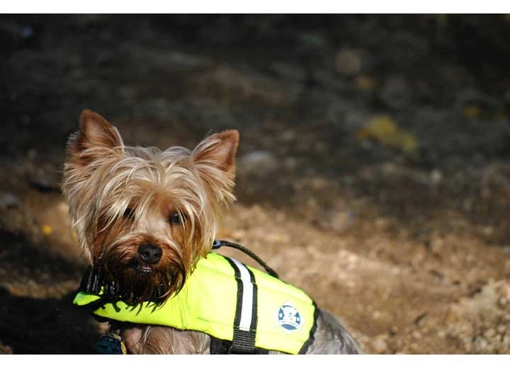 Paws Aboard 1300 (S Small) - Safety Neon Yellow Nylon Dog Life Jacket - Image 2 of 4
