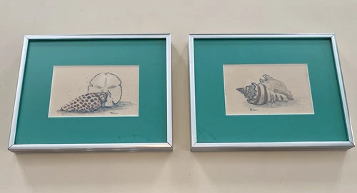Seashell Watercolor Prints Framed