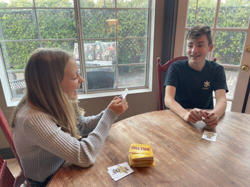 TDC Games Bull Tish The All-Play Card Game That's Absolutely Full of IT! - Picture 3 of 8