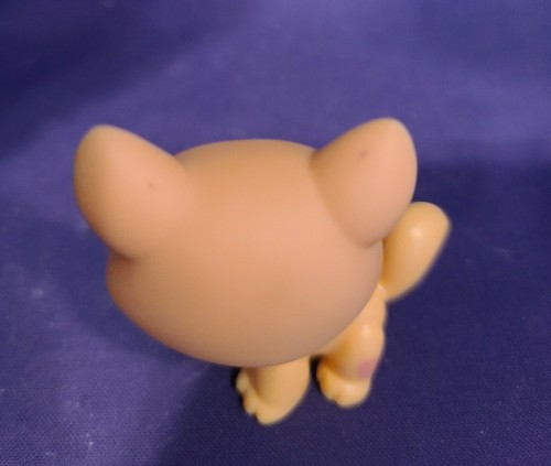 Autentica borsa cieca Littlest Pet Shop oro Main Coone Euro gatto occhi blu 1537 - Foto 5 di 9