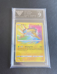 Raikou 050/185 Vivid Voltage Amazing Rare Holo