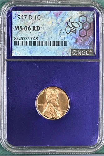 1947-D Red NGC MS 66 RD Lincoln Wheat Penny Cent 🐝 Purple Core MS66RD Nice Coin