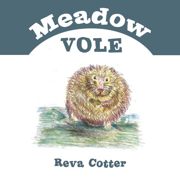 Meadow Vole | Reva Cotter | Taschenbuch | Kartoniert / Broschiert | Englisch-image
