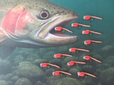 Steelhead / Trout / Salmon Egg Hatchling Fly - #12 Hook - 12 pcs with Egg Oil