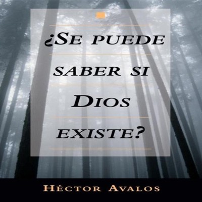 Se Puede Saber Si Dios Existe? Hector Avalos Paperback Globe Pe&q