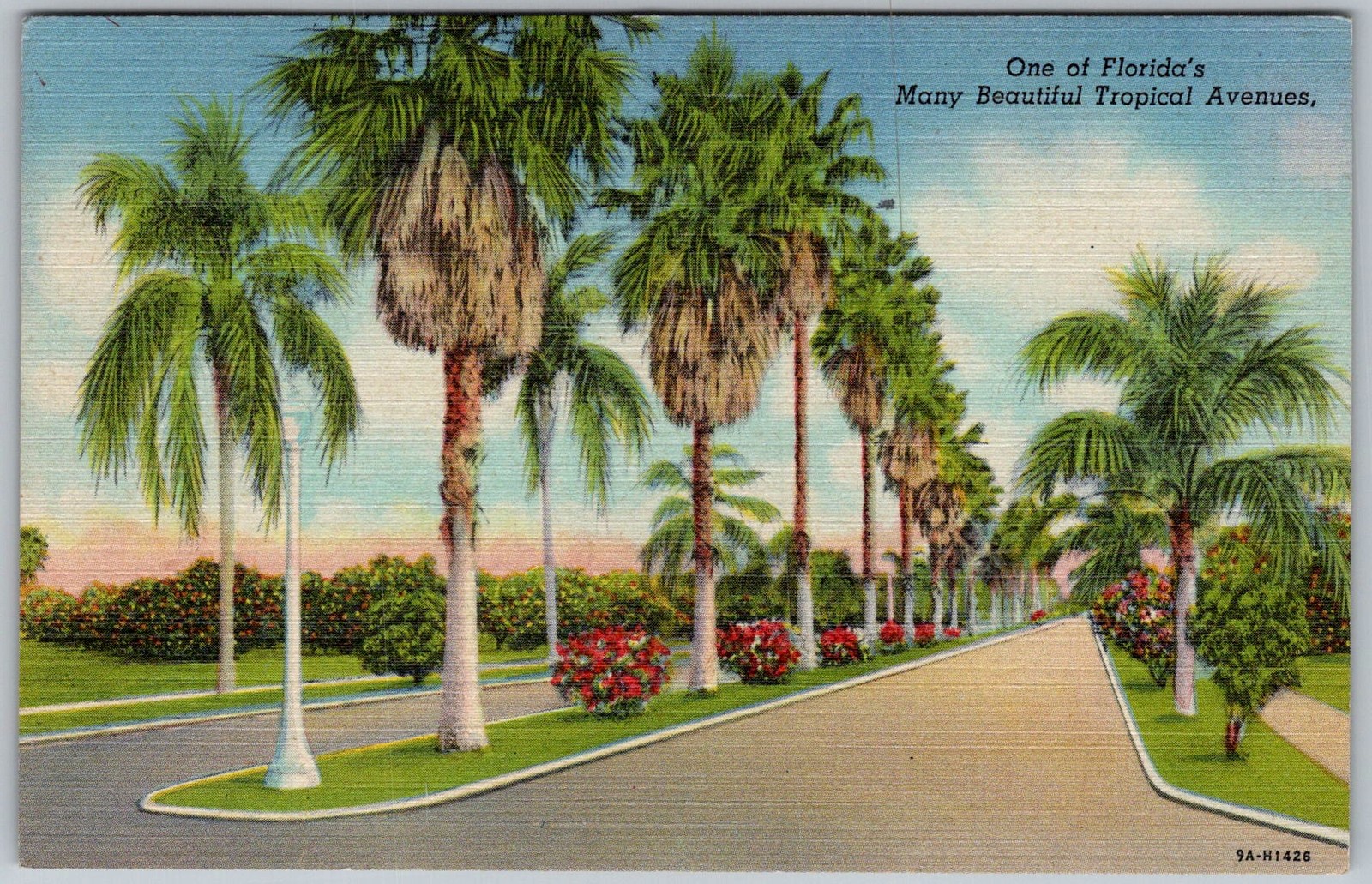 Vtg Postcard Tropical Avenue Palm Trees Florida, US 1940s