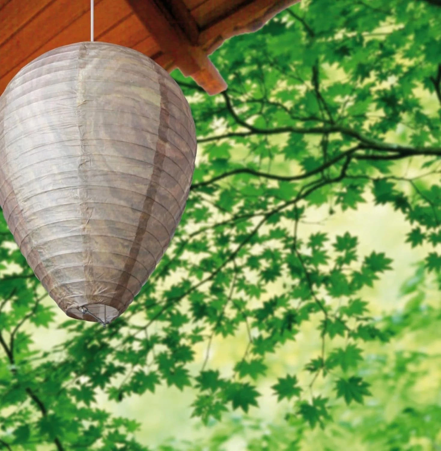 Esschert Design Wasp Deterrent - Thumbnail 2