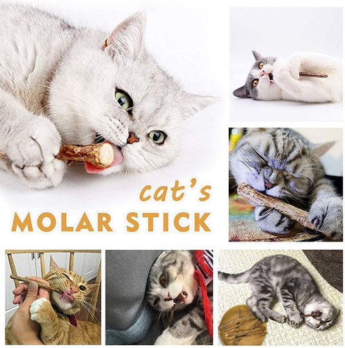 AILUKI 35 PCS Cat Toys Kitten Toys Assortments,Variety Catnip Toy Set Including - Picture 6 of 12