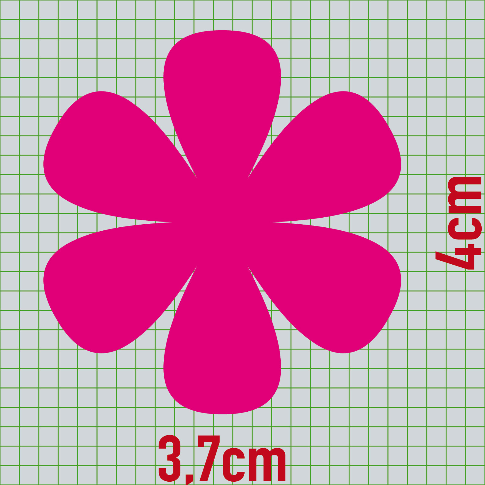 Bild 6 von 33