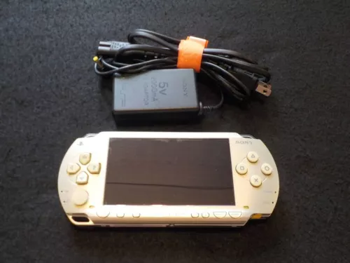 Item Picture