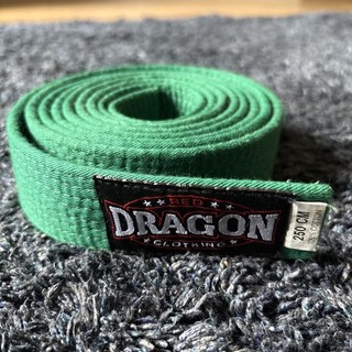 Green Martial Arts Belt Karate Taekwondo Kickbox Judo Thai Boxing DRAGON !L@@K!