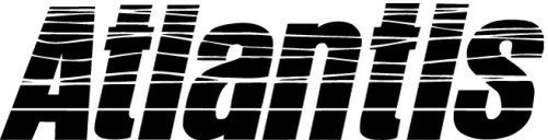 Atlantis Lanyard - Yellow Snowmobile Watercraft PWC A7447 13-0291 983083 - Image 2 of 3