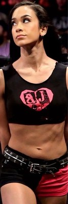 WWE 2 X6  VINYL BANNER - AJ LEE - 6 FEET TALL!
