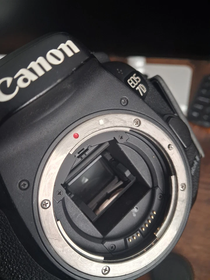 Canon EOS 7D Mark II, photo 2 of 4