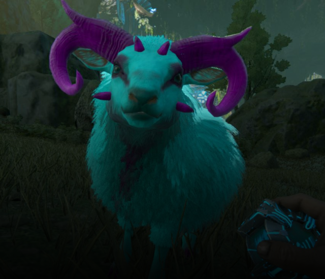 ark survival evolved XBOX PVE Male Cotton Candy Ovis CLONE eBay