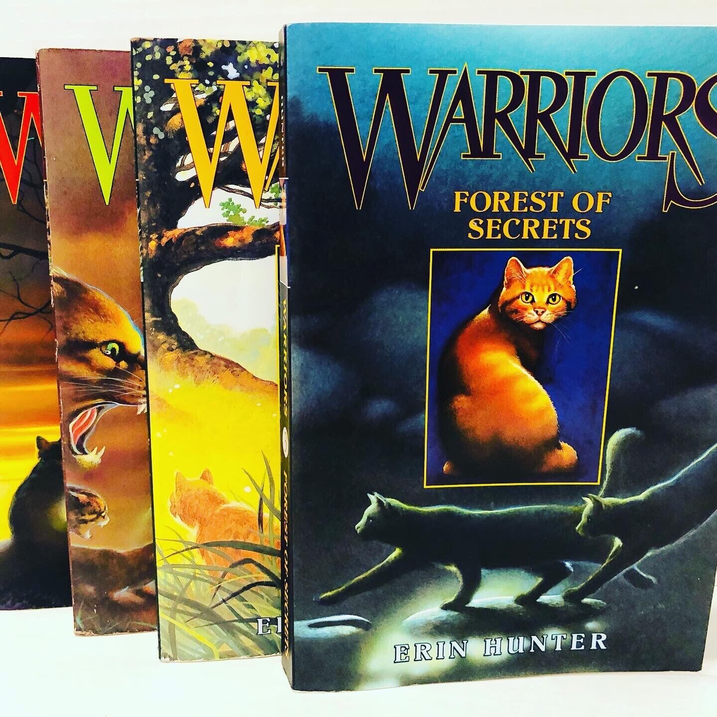 Erin Hunter Warriors Book Lot Original Series Set 7 Books of Warriors Cats  Novel