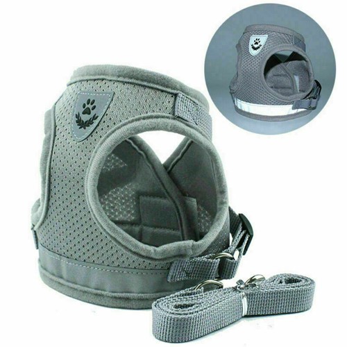 Small Dog Puppy Pet Harness Breathable Mesh And Leash Set Vest Chest Strap XS-XL - Picture 14 of 16