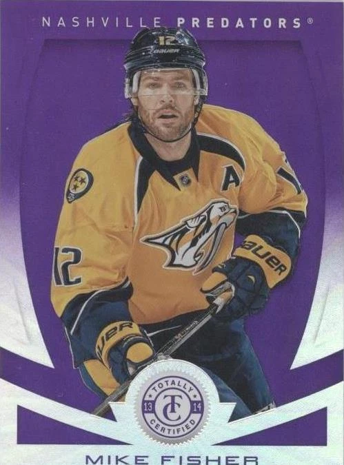 Mirror Platinum Purple