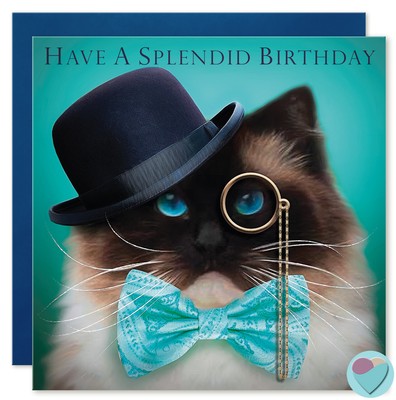 Ragdoll Cat Birthday Card The Cat Card Gallery JLG0147HSB Juniperlove