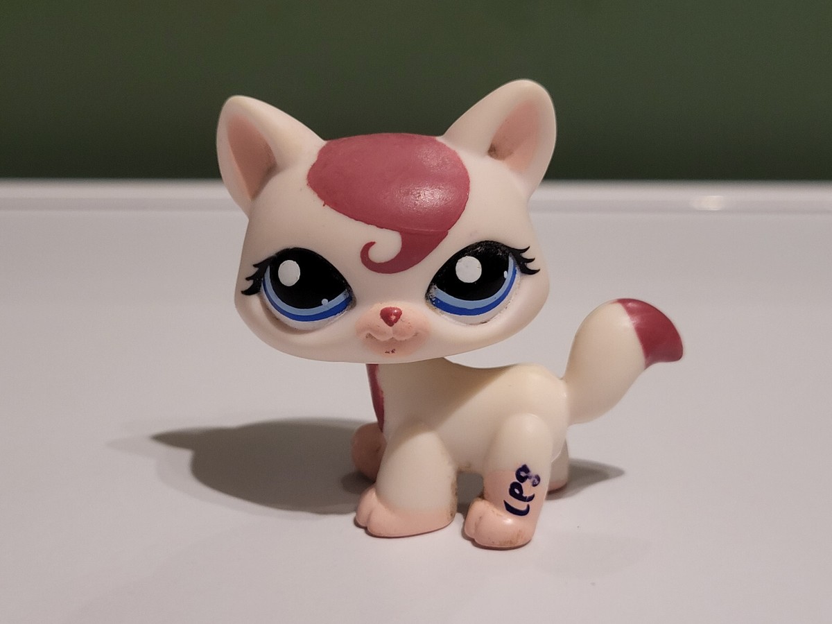 authentic littlest LPS 626 chat cat maine coon petshop PET