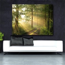 Wall Art Picture Abstract Canvas Painting Forest Canvas Print Living Room