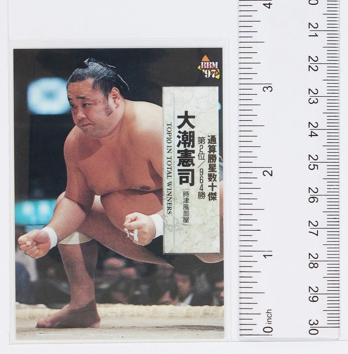 OSHIO KENJI No.163 - 1997 BBM Sumo Wrestling Trading Card | eBay
