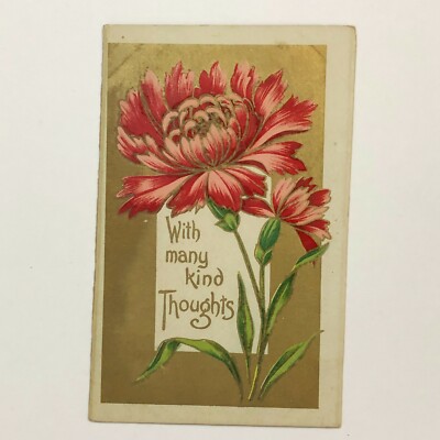 With Many Kind Thoughts  Pink Flower Vintage Postcard