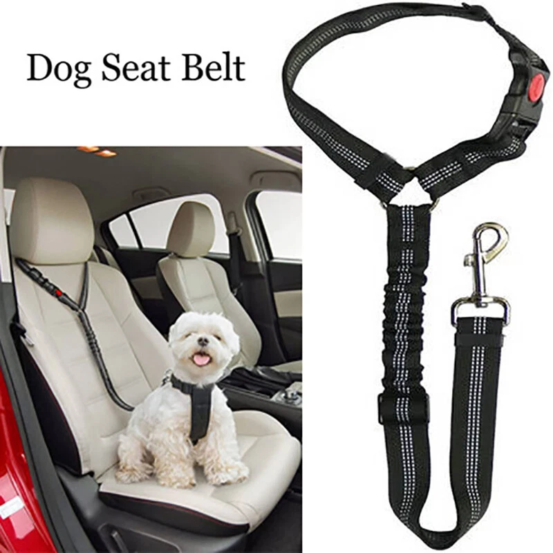 Dog seat belt clip - .de