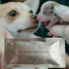 QTY 5 Canine Pregnancy Relaxin Test Kit - Complete Kit (Whole Blood Version)