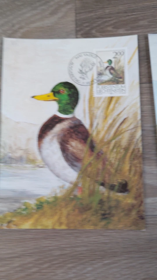 LIECHTENSTEIN 1990 THREE FIRST DAY COVERS, GAME BIRDS ON MAXI CARDS - Image 2 of 4