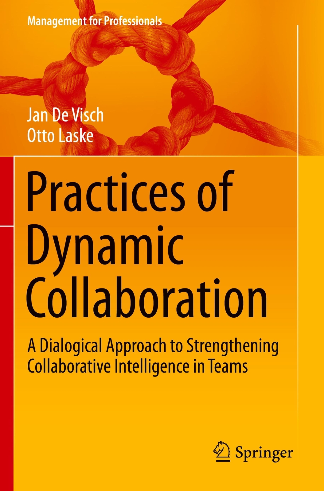 Thumbnail - Practices Of Dynamic Collaboration Otto Laske (u. A.) Taschenbuch