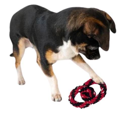 KONG Tough Signature Dog Toy Dual Knot Rope Double Tug Ring Heavy Duty - Picture 5 of 13