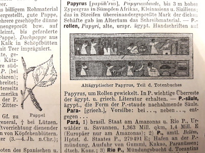 Alte Lithographie, Papier, ca. 1935, Papierindustrie, Papyrus, Welthandel, rar