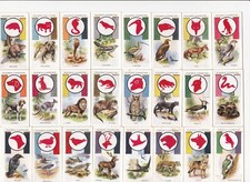 Players 1933 50 Boy Scout & Girl Guide Badges  POST FREE