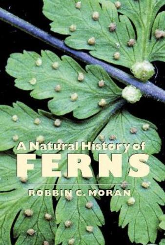 Robbin C. Moran A Natural History of Ferns (Tascabile)